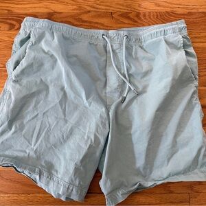 American Eagle Outfitters Light Blue Shorts